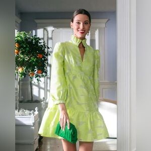 Tuckernuck Citron Fil Coupe Palmerston Dress Sz S